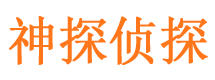 阜南调查公司